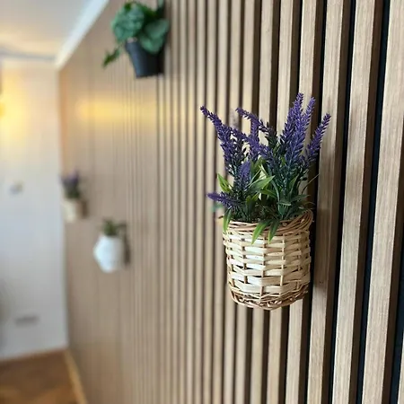 Luxury In Heart Of Praga