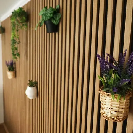 Apartment Luxury In Heart Of *